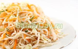 Лучшие рецепты салатов из свежей капусты с морковью Капуста как в столовой рецепт с уксусом